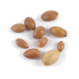 Argan oil (cosmetic grade)